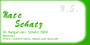 mate schatz business card